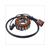 ONTSTEKING PIAGGIO VESPA 125/250/300 18 POLIG TP