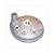 CULASSE AIRSAL MORINI LC 41.0mm 