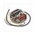 ONTSTEKING PUCH MAXI 6V 15W KAAL ELEC