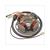 LICHTMACHINE TOMOS A35/STD ohne pickup ELEC