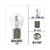 AMPOULES BA20D 12V 35/35W S2 CE aproval BOLLARD (1