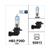 AMPOULES HB3 P20D 12V 65W HALOGEEN SUPER WHITE (1)