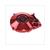 FLYWHEEL COVER MINARELLI AM6/CPI until e3 RED