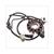 ONTSTEKING PIAGGIO FLY/LIBERTY/VESPA LX 4T 3V 125 