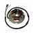 LICHTMASCHINE SIMSON S51  6V KONTAKTE EINZEL ELEC