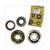 LAGER/KEERRINGSET MINARELLI AM345/6 TP