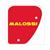 LUCHTFILTER MALOSSI PEUGEOT VERTICAL ELEMENT