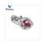ACHTERLICHT PIAGGIO CARNABY LINKS 125cc CE